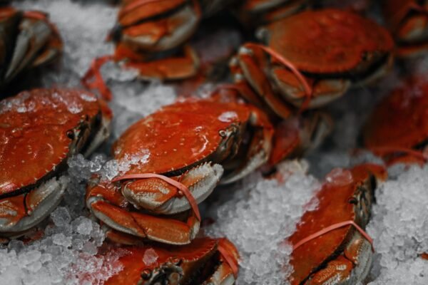 Crab and Related Products